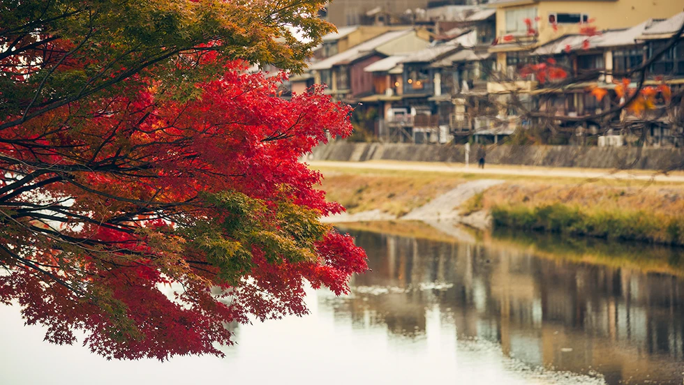article_39_img02.webp