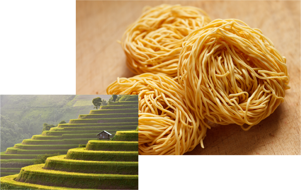 Landscape of farmland, ramen noodles