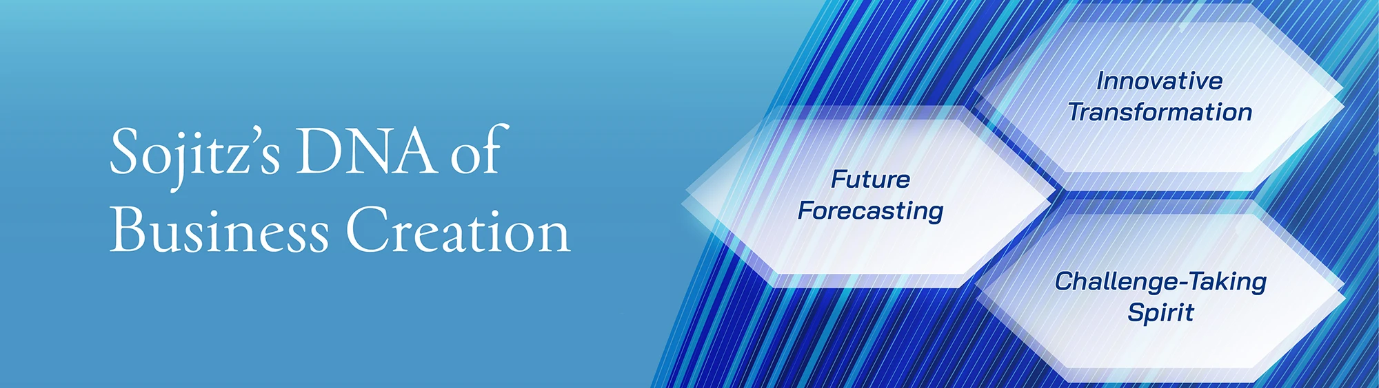 Integrated Report 2024