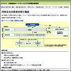 持株会社の経営体制と機能