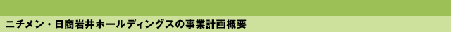 ニチメン・日商岩井ホールディングスの事業計画概要