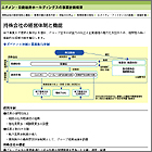 持株会社の経営体制と機能