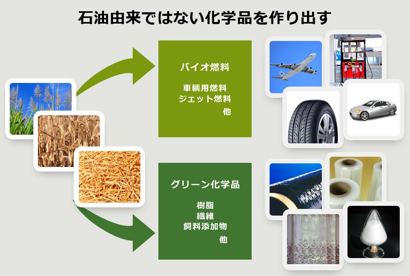 GEI社のバイオ化学品製造