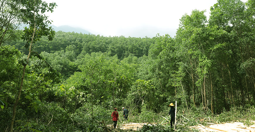 Sojitz and GLT to Develop New Industrial Park (Long Duc 3) in Dong Nai  Province, Vietnam